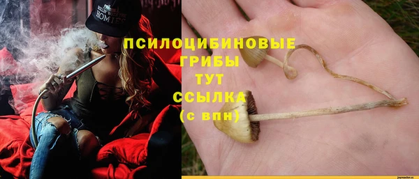 метадон Беломорск